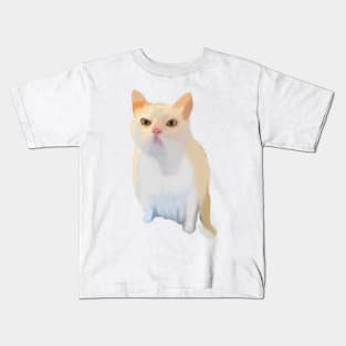 Annoyed Funny meme cat Kids T-Shirt